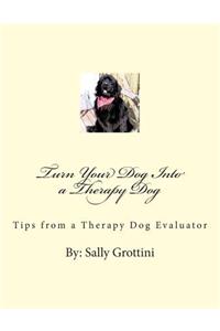 Turn Your Dog Into a Therapy Dog