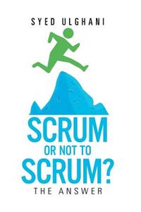 Scrum or Not to Scrum?