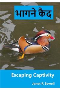 Escaping Captivity