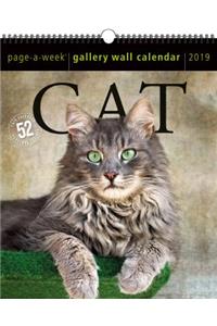 Cat Page-A-Week Gallery Wall Calendar 2019