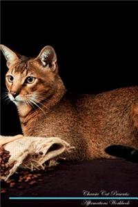 Chausie Cat Affirmations Workbook Chausie Cat Presents: Positive and Loving Affirmations Workbook. Includes: Mentoring Questions, Guidance, Supporting You.