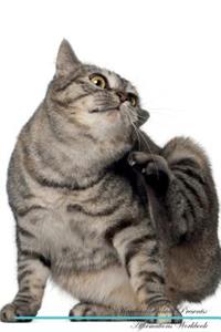 Kurilian Bobtail Affirmations Workbook Kurilian Bobtail Presents