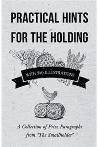 Practical Hints for the Holding - With 240 Illustrations - A Collection of Prize Paragraphs from the Smallholder