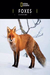 FOXES NATIONAL GEOGRAPHIC SQUARE WALL CA