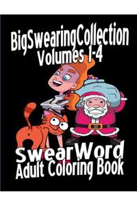 Swear Word Adult Coloring Book