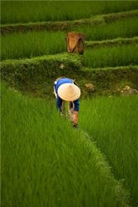 Woman Working in a Rice Field in Myanmar Journal