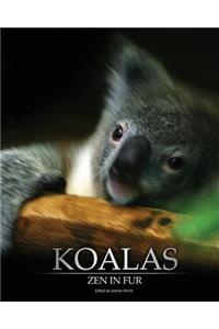 Koalas