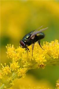 Golden Rod Blooms with a Fly Journal: Take Notes, Write Down Memories in this 150 Page Lined Journa