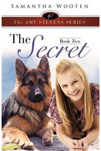 The Amy Stevens Series the Secret Book Two