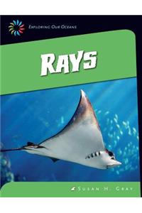 Rays