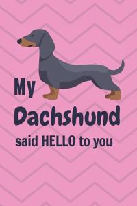 My Dachshund said HELLO to you