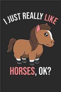 I Just Really Like Horses, OK?