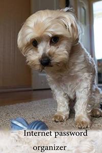 internet password organizer