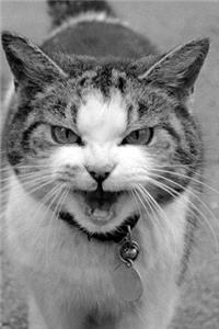 Feed Me! Cat Journal