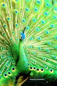 Peacock Notebook