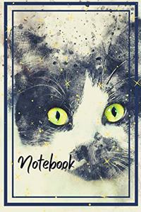 To a cat, 
