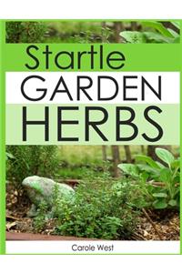 Startle Garden Herbs