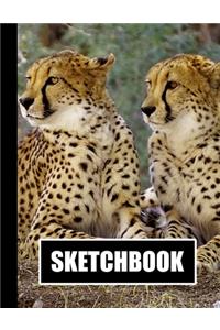 Sketchbook
