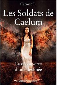 Les Soldats de Caelum - Tome 1