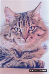 Cat Notepad