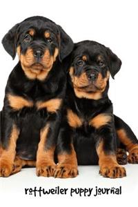 Rottweiler Puppy Journal