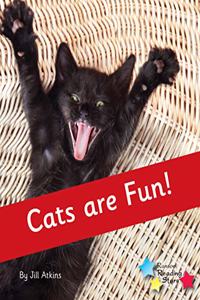 Cats are Fun!