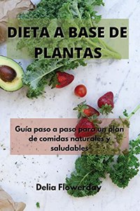 Dieta a Base de Plantas