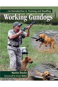 Working Gundogs