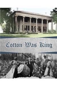 Cotton Was King