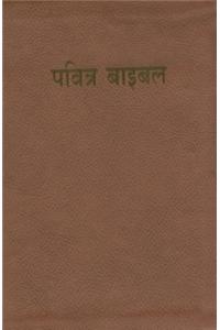 Hindi Bible-FL-Easy-To-Read