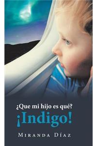 ¿Que Mi Hijo Es Qué? ¡Indigo!