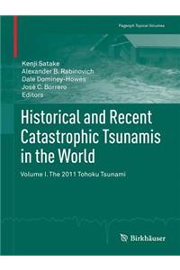 Historical and Recent Catastrophic Tsunamis in the World