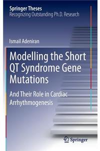 Modelling the Short QT Syndrome Gene Mutations
