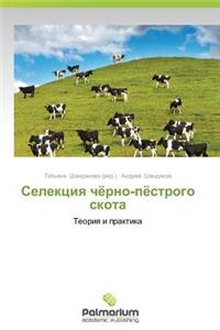 Selektsiya Chyerno-Pyestrogo Skota