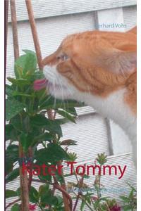 Kater Tommy