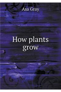 How Plants Grow