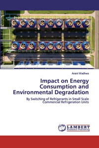Impact on Energy Consumption and Environmental Degradation