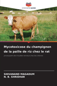 Mycotoxicose du champignon de la paille de riz chez le rat