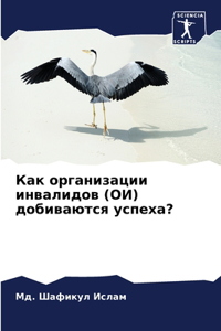 Как организации инвалидов (ОИ) добиваются 
