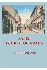 Zapisi iz ukletog grada