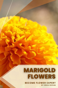 Marigold Flowers