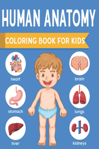 Human Anatomy Coloring Book For Kids