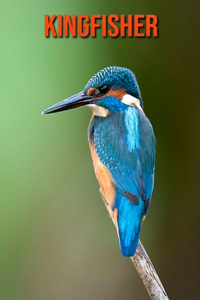 Kingfisher