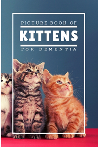 Picture Book Of Kittens For Dementia