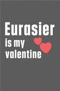 Eurasier is my valentine