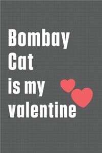 Bombay Cat is my valentine