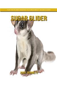 Sugar Glider