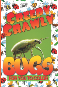 Creepy Crawly Bugs For You To Color