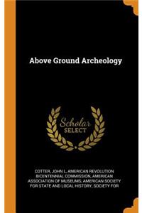 Above Ground Archeology