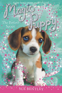 Perfect Secret